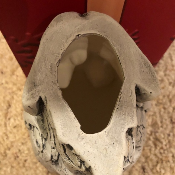 Human Skull Halloween decoration . Scary Good lifelike display - Picture 6 of 6